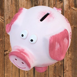 Kasička Prasátko 13 cm