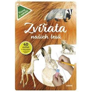 Zvířata našich lesů – kniha s obkreslováním