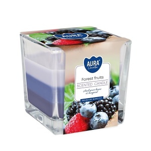 Vonná svíčka Bispol ve skle, 170 g,  Forest Fruits