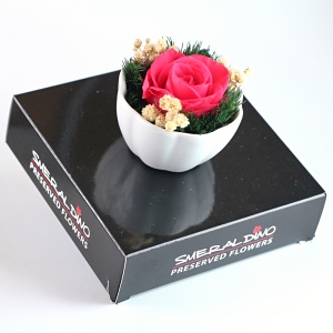 Stabilizová růže - aranže A1, červená