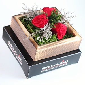 Stabilizová růže - aranže B1, červená