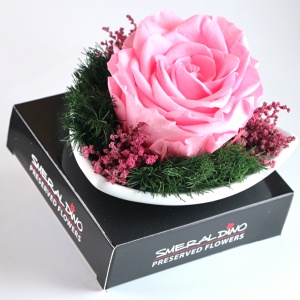 Stabilizová růže - aranže D1, růžová