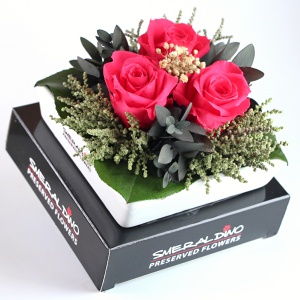 Stabilizová růže - aranže E1, červená