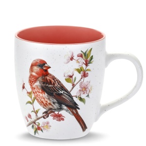 Hrnek JUMBO 740 ml ptáček (06), lososový