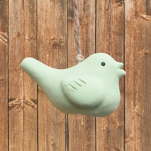 Ptáček malý, zelený