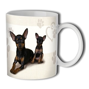 Hrnek 320 ml, Pražský krysařík