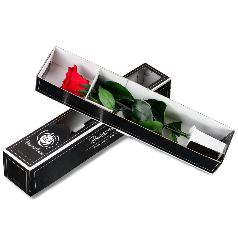 Stabilizovaná růže 30 cm bílá