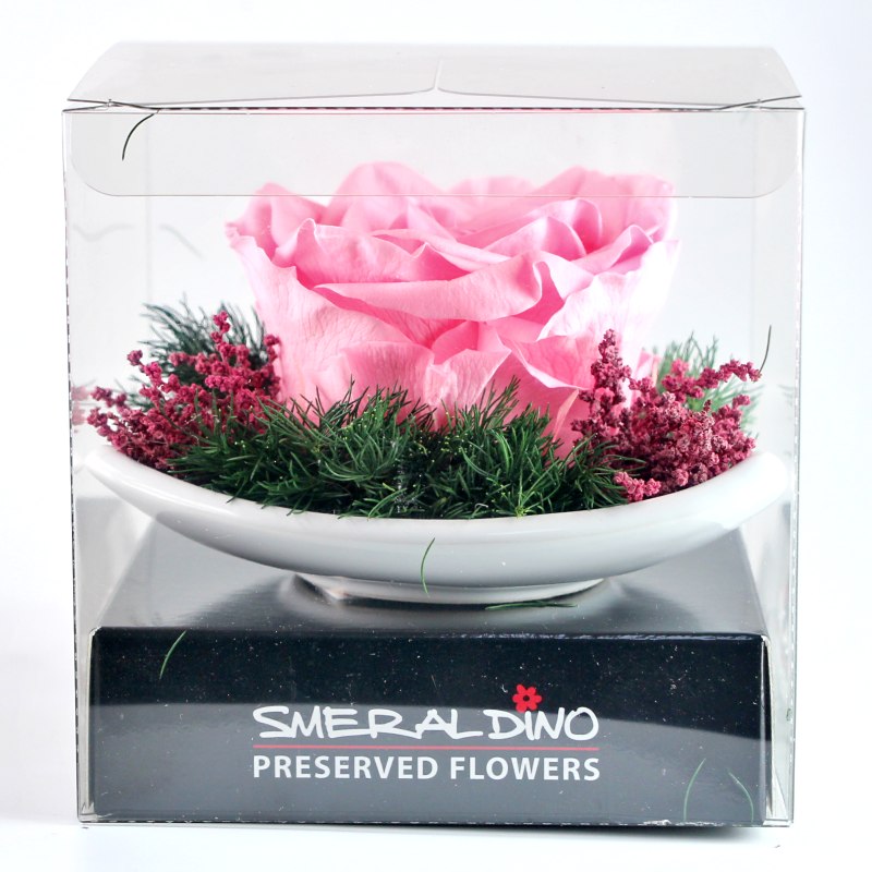 Stabilizová růže - aranže D1, růžová