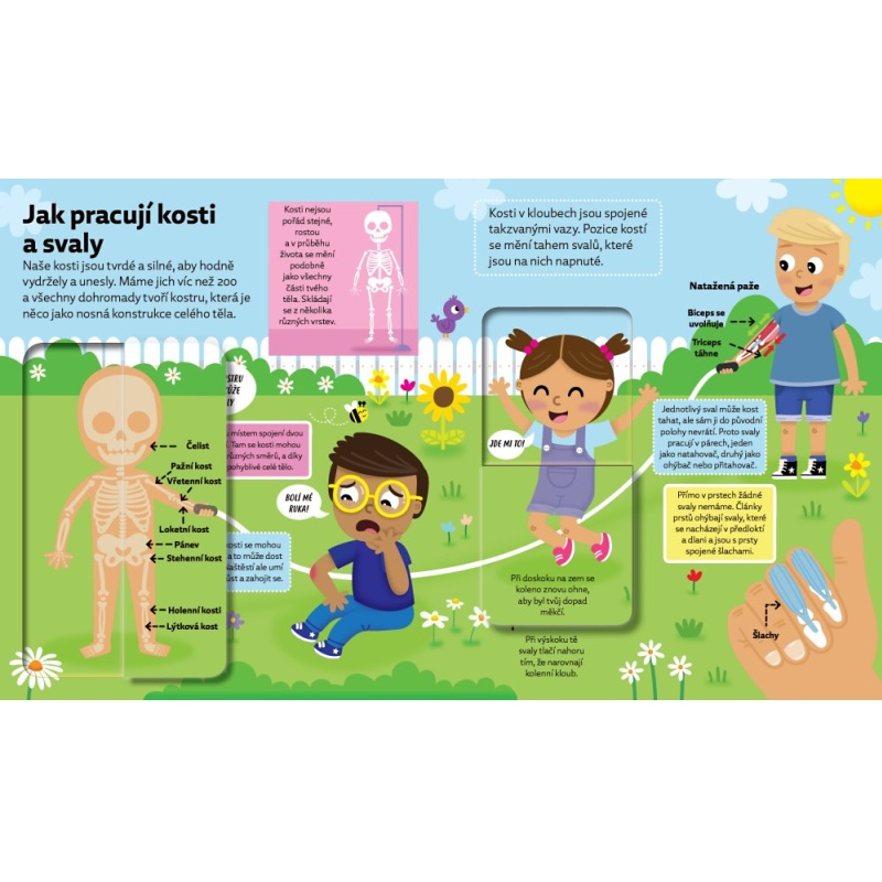 Malý objevitel: Co ukrývá lidské tělo