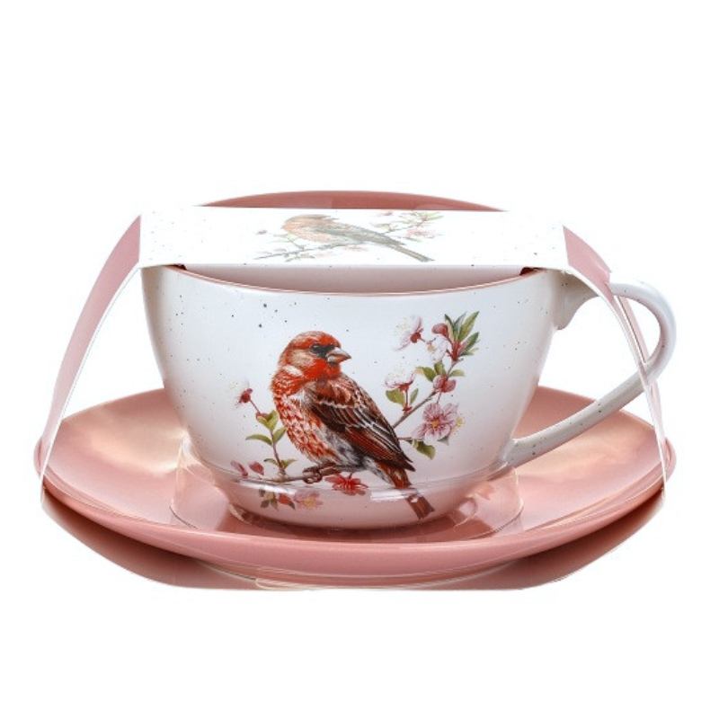 Šálek s podšálkem 300 ml, porcelán, ptáček (11), lososový