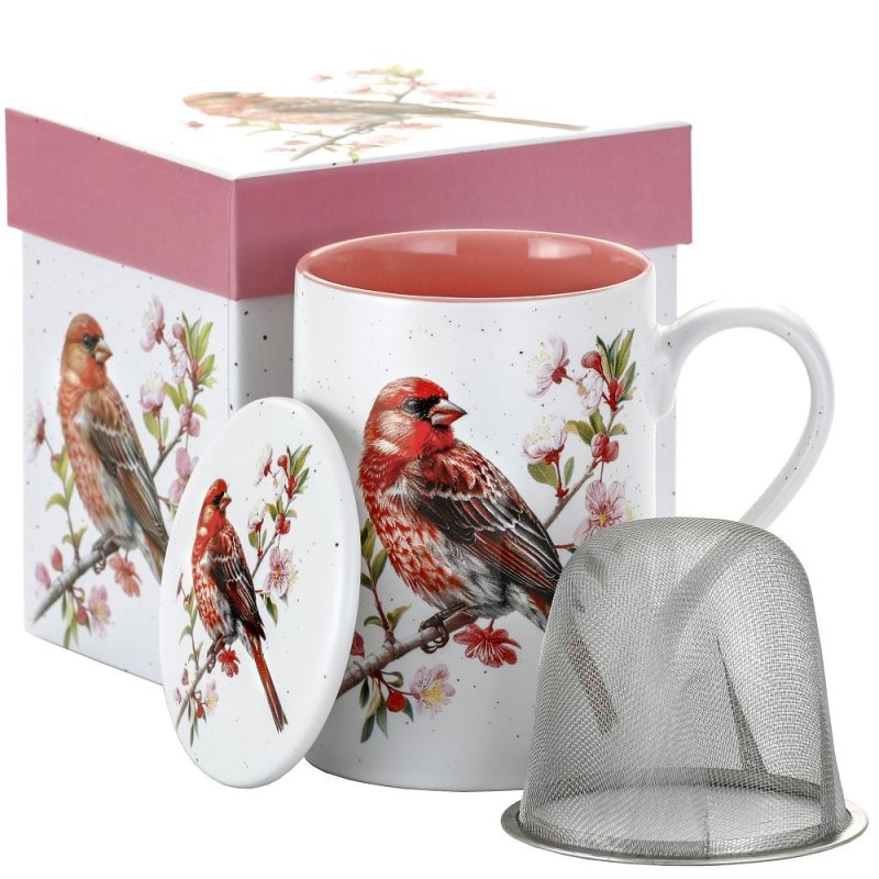 Hrnek bylinkový 300 ml s filtrem, ptáček, lososový